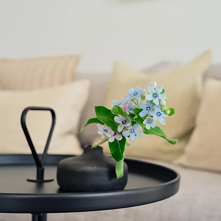 C3 Mit Terrasse & Nutzung Der Wellness- & Aktivbereiche Im 