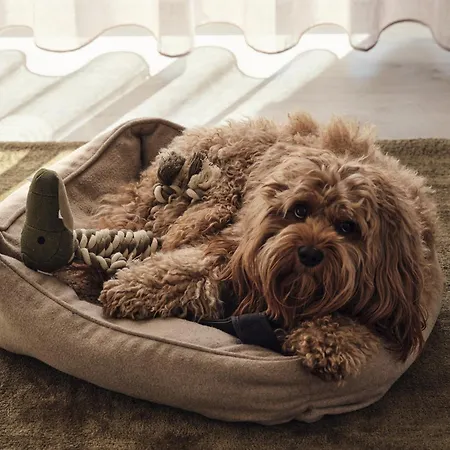 C3 Mit Terrasse & Nutzung Der Wellness- & Aktivbereiche Im 