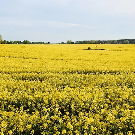 C3 Mit Terrasse & Nutzung Der Wellness- & Aktivbereiche Im 